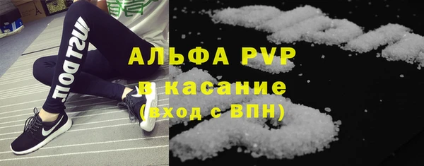хмурый Пересвет