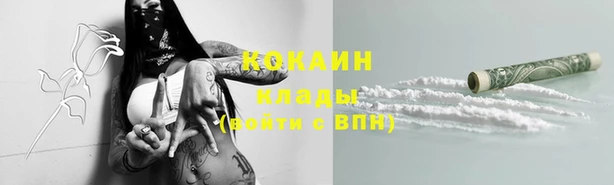 дурь Арсеньев