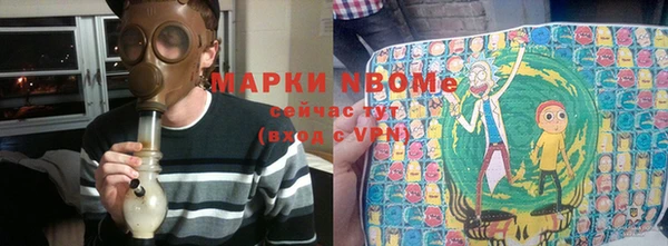 хмурый Пересвет
