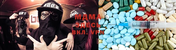хмурый Пересвет